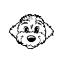 MGMT Boston logo